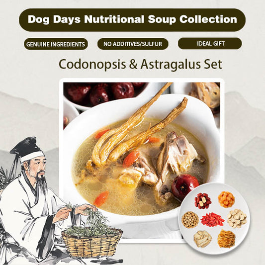 Qi-Boosting Codonopsis Astragalus Blend - Energy Support & Stress Relief
